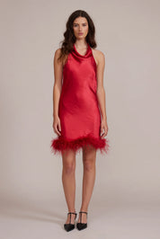 Dolly Feathered Dress