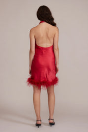 Dolly Feathered Dress