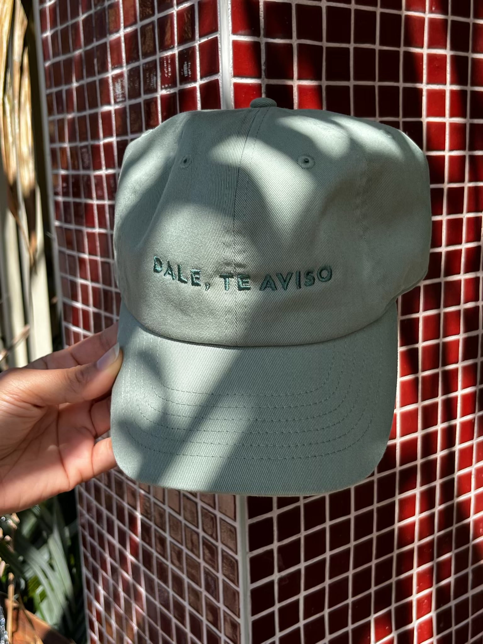 DALE, TE AVISO by Moni & Coli