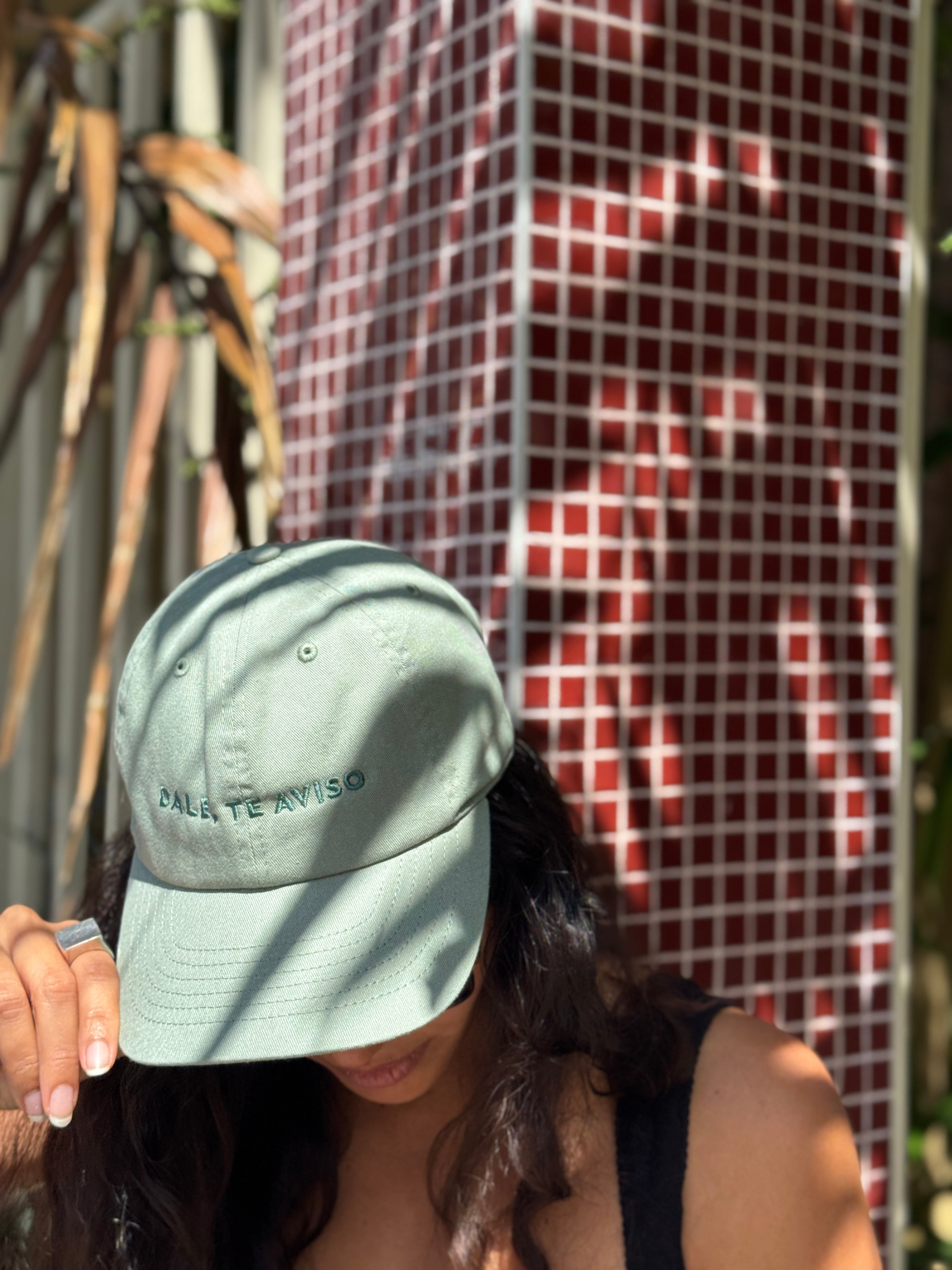 DALE, TE AVISO by Moni & Coli