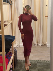 Burgandy Mesh Dress