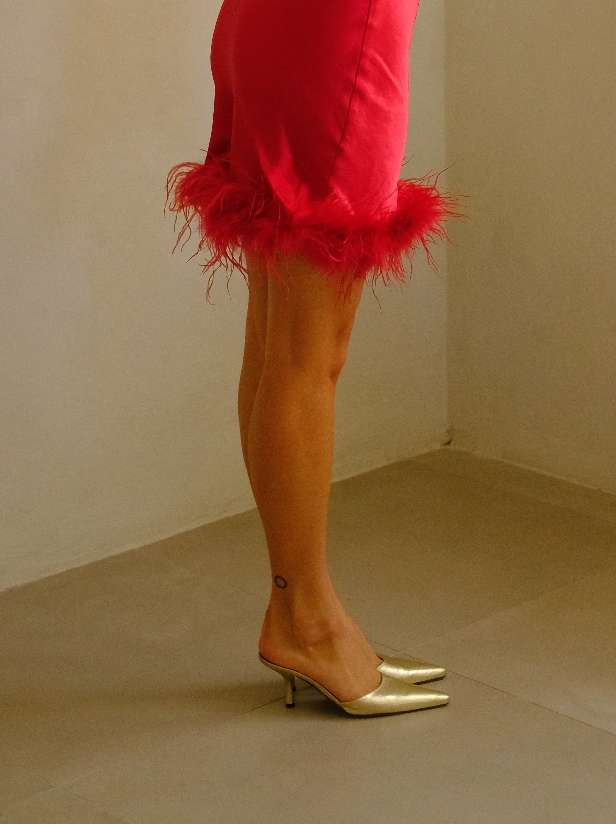 Dolly Feathered Dress