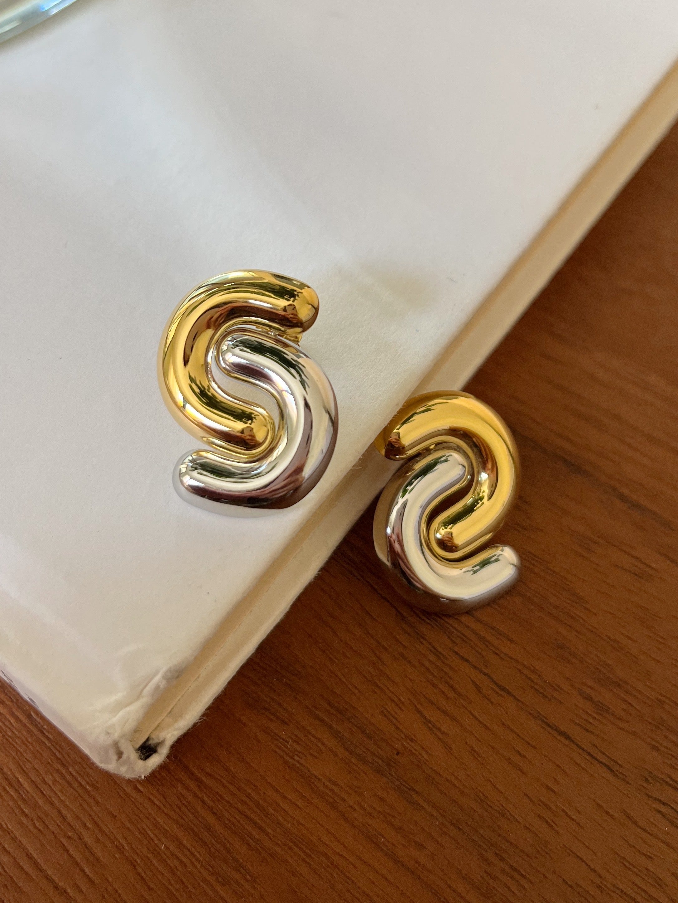 Susu Earrings