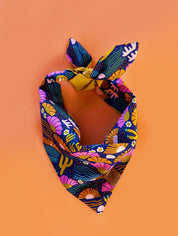Desert Sunsets Reversible Bandana by Guau