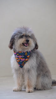 Desert Sunsets Reversible Bandana by Guau