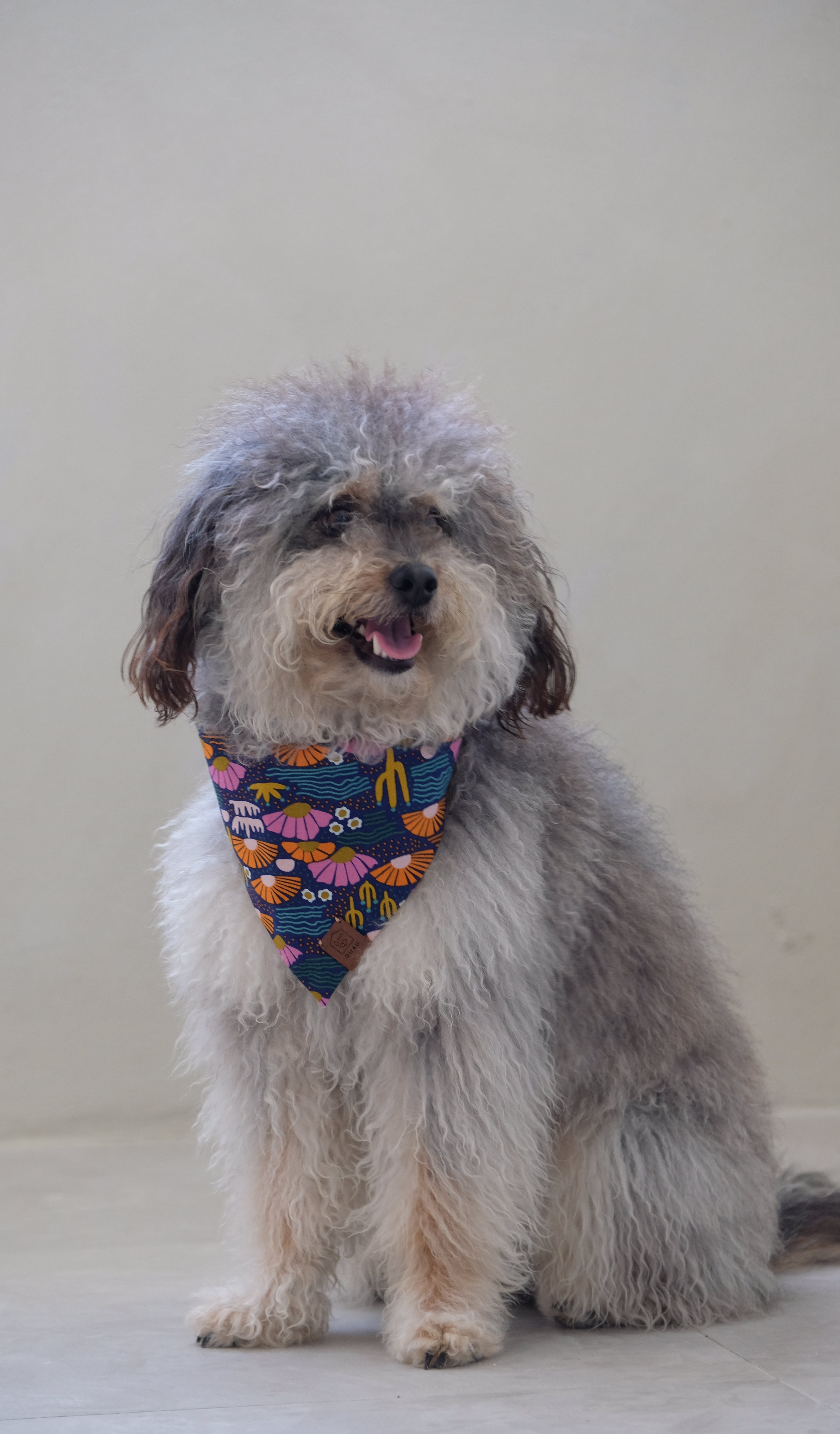 Desert Sunsets Reversible Bandana by Guau